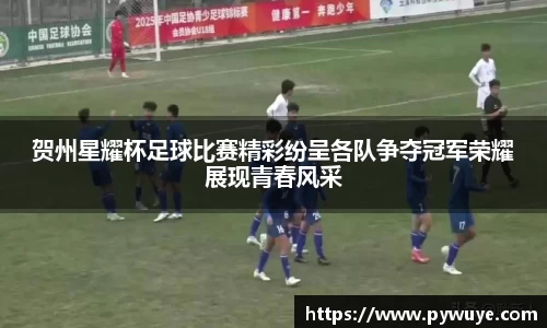 贺州星耀杯足球比赛精彩纷呈各队争夺冠军荣耀展现青春风采