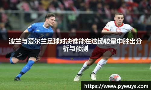 波兰与爱尔兰足球对决谁能在这场较量中胜出分析与预测