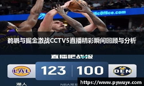 鹈鹕与掘金激战CCTV5直播精彩瞬间回顾与分析