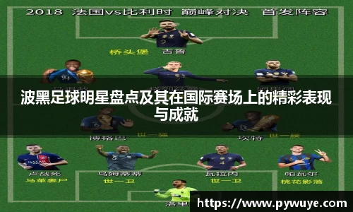 波黑足球明星盘点及其在国际赛场上的精彩表现与成就