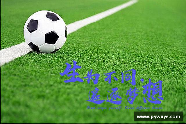 介绍ac米兰体育